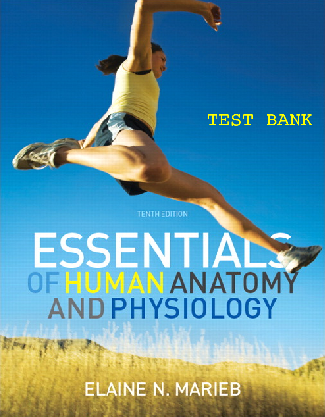 Preview image for Test Bank for Essentials of Human Anatomy & Physiology 10th Edition by Elaine N. Marieb ISBN-13: 9780321720412 | Essentials of Human Anatomy and Physiology 10th Edition Marieb Marieb Test Bank with answers of this Test Bank